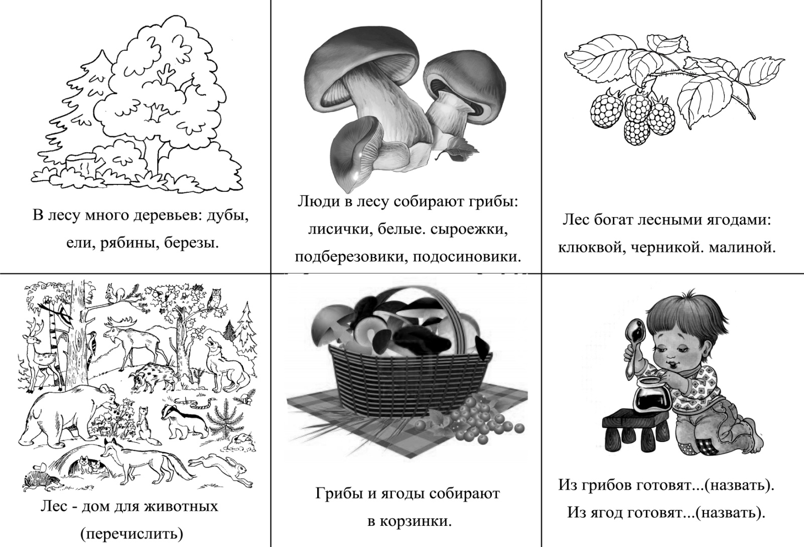 задание на дом грибы (100) фото